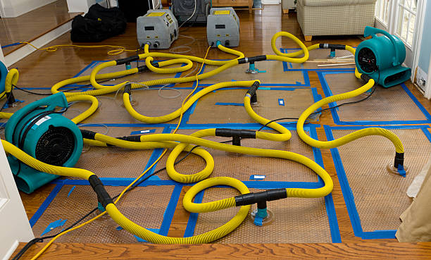 Professional Storm Water Damage Restoration technician working in Newton Highlands, MA